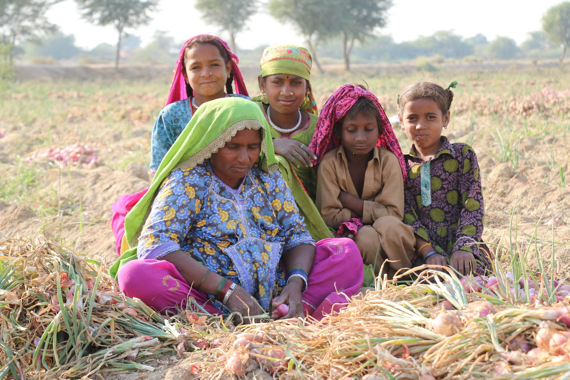 Woman and four children in saris sitting in a field of onion crops