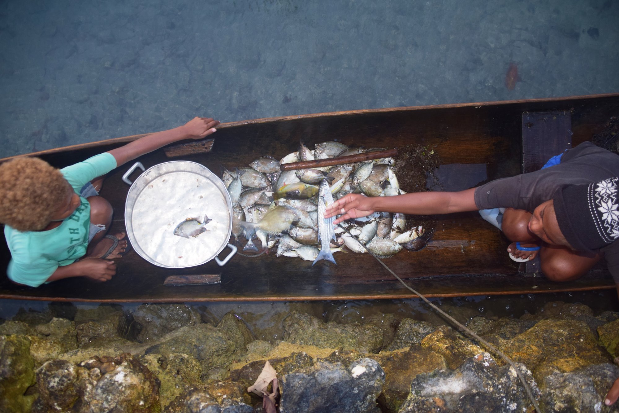 Arial view of two people in a canoe with a pile of small fish