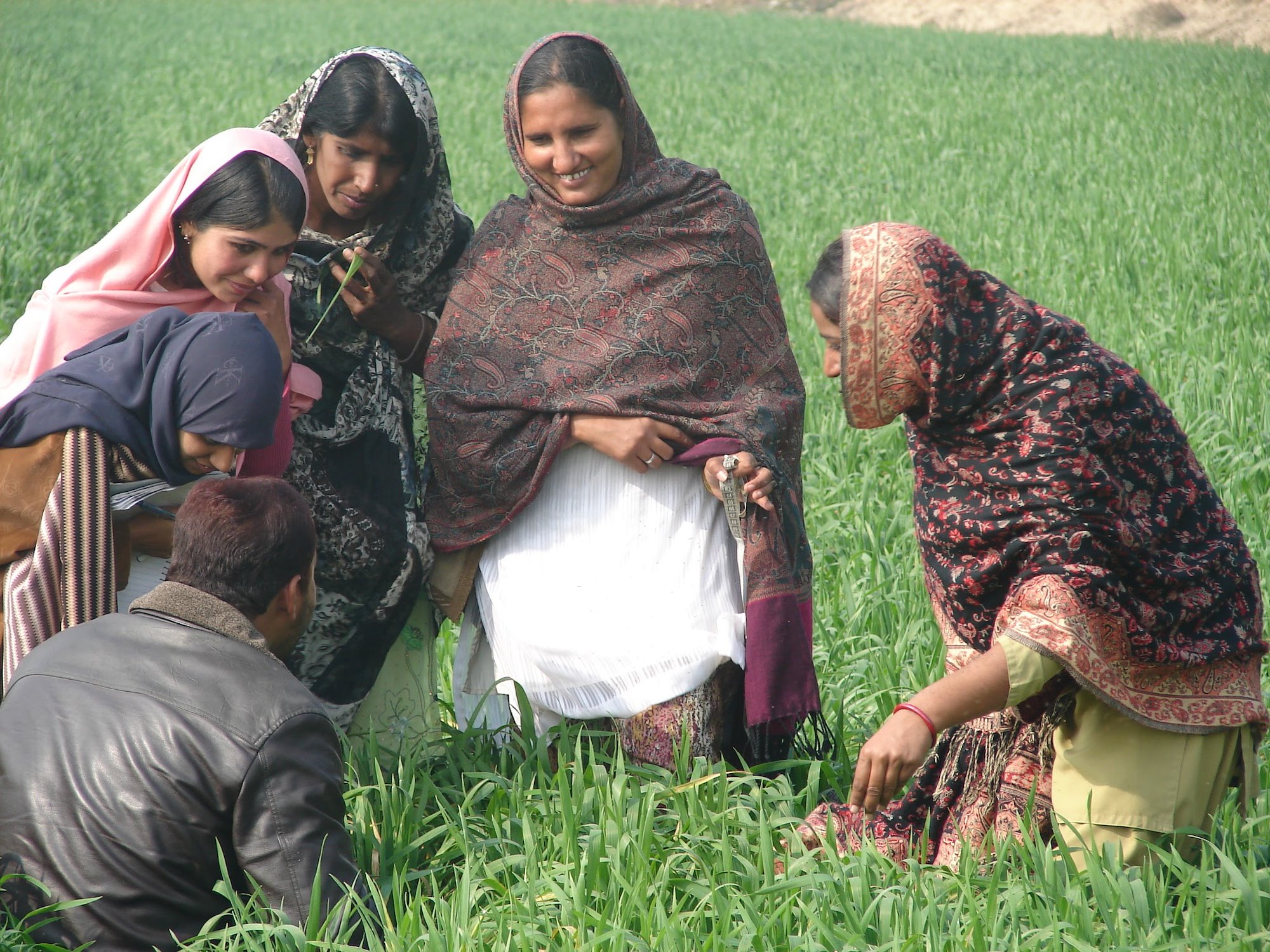 Four women in saris and a man standing in a field of crops