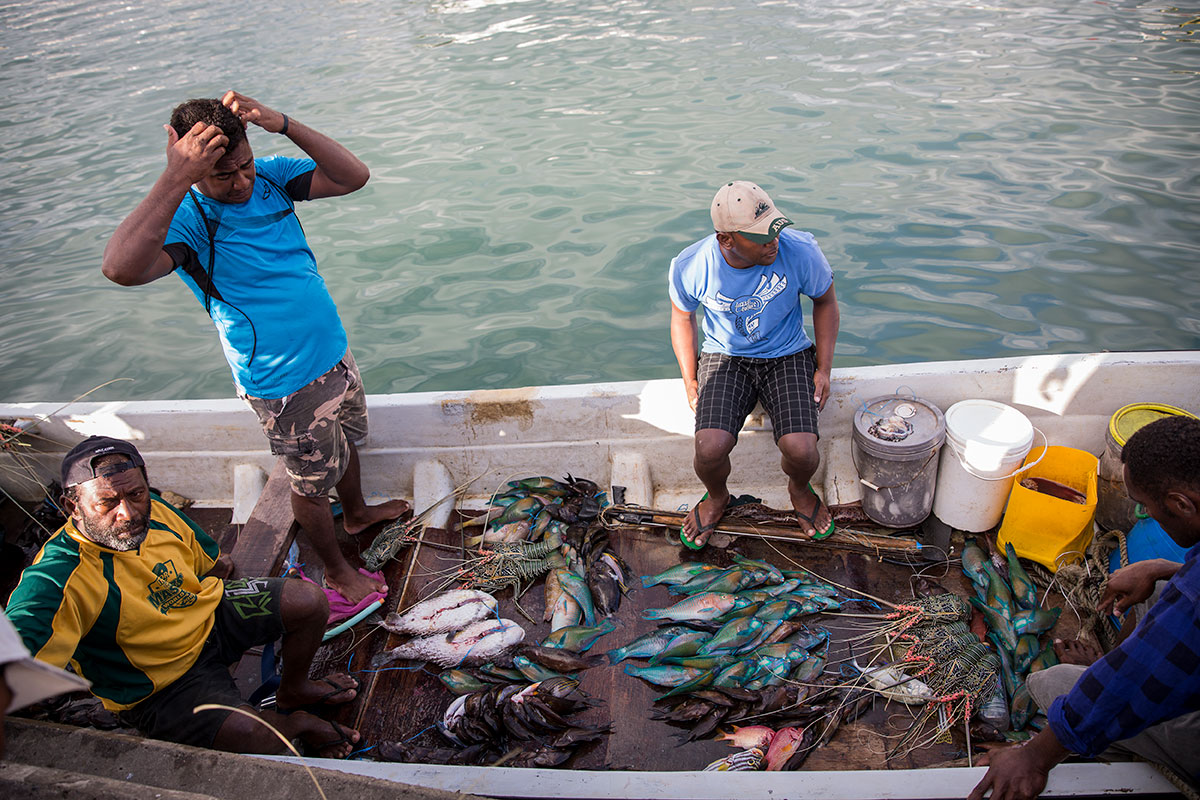 Four men in a small boat with many colourful fish that they have caught