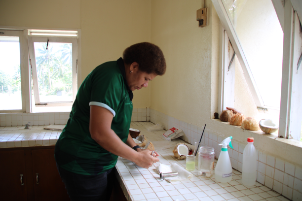 CePaCT (Centre for Pacific Crops & Trees) scientist Ulamila Lutu extracting endosperm tissue from coconuts for extraction of the embryos during a field trip to Taveuni Research & Development Centre. The coconut embryos were used in laboratory experiments at CePaCT (Suva, Fiji) and University of Queensland, Australia.