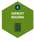 Capacity building