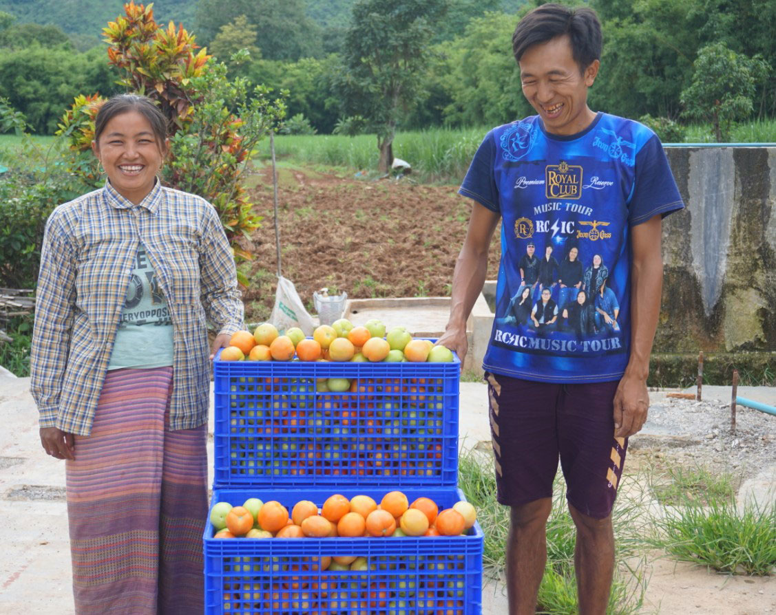 Man and woman laughing next to crates of citrus fruit