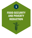 Food security and poverty reduction
