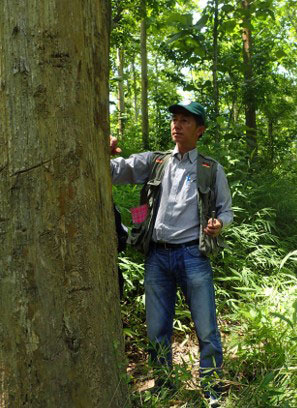 Man standing next to the trunk of a very large tree