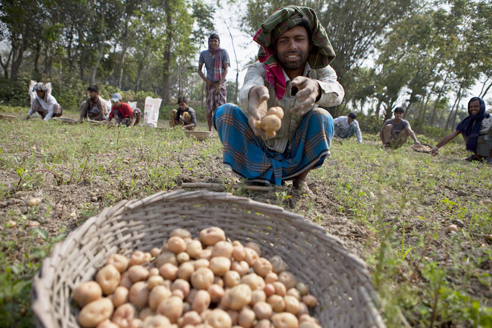 Farmer in Bangladesh
