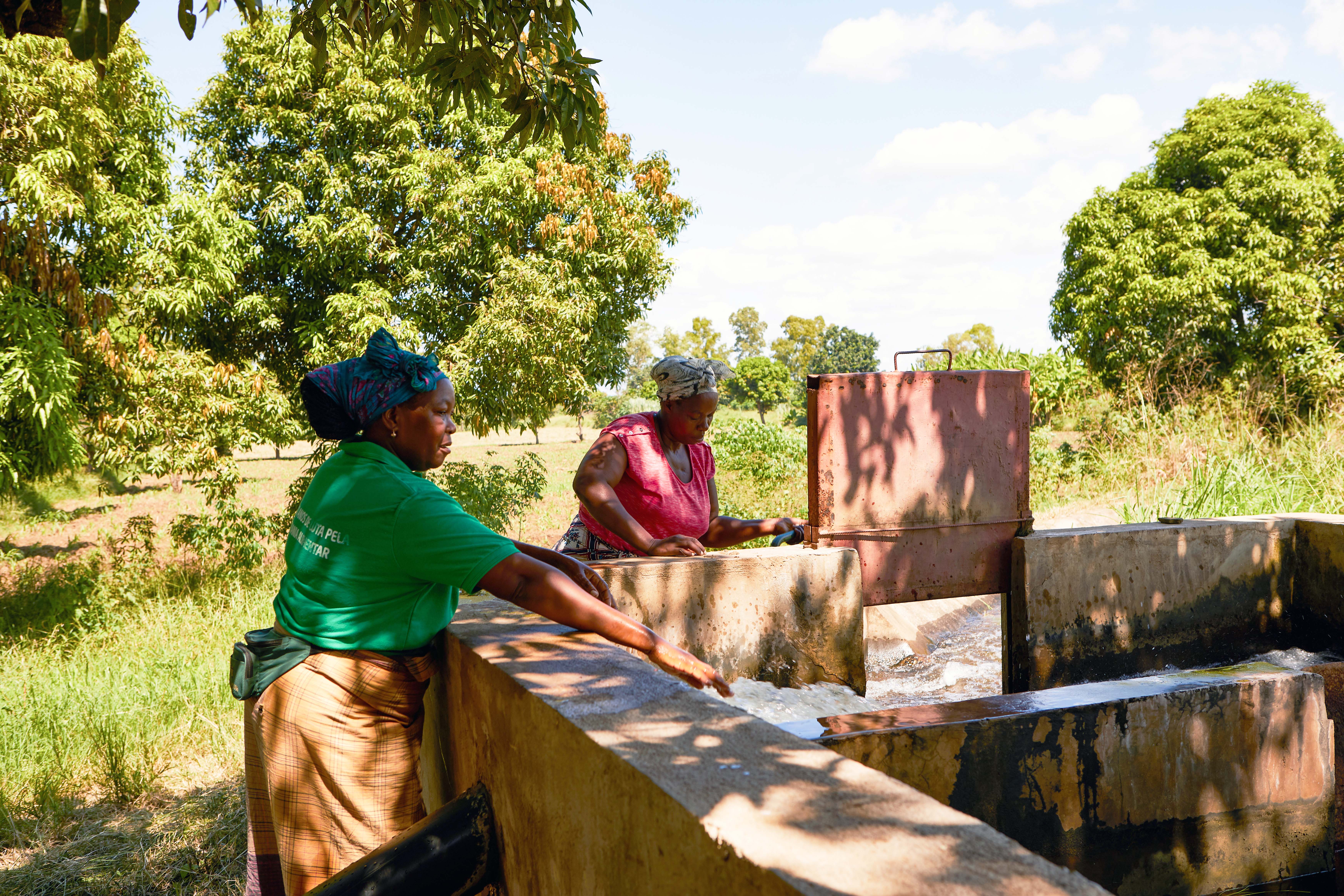 irrigation mozambique