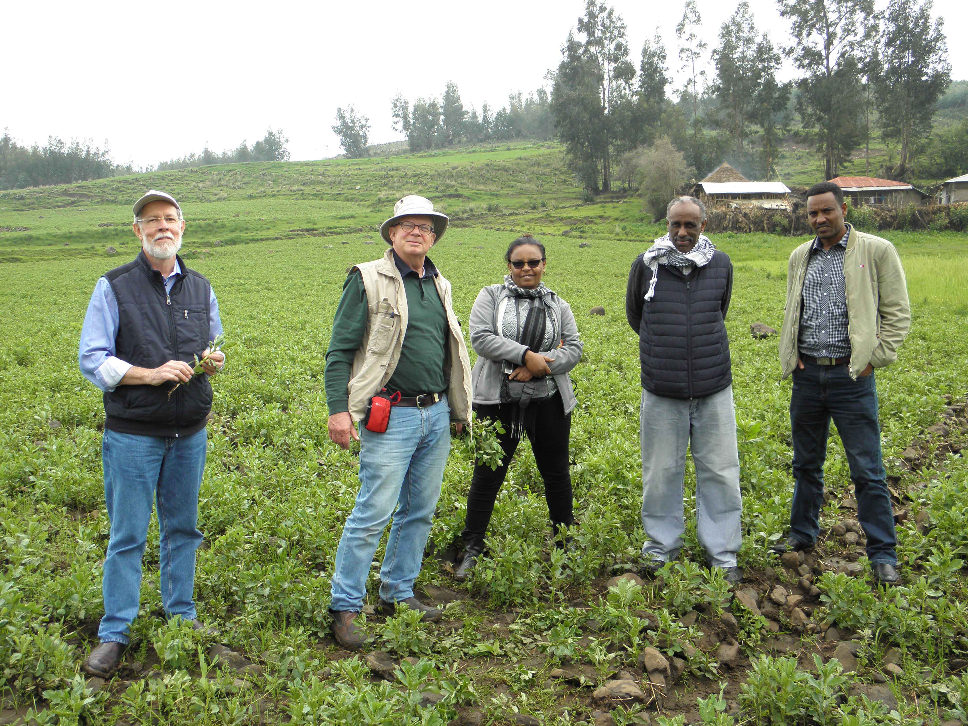 Coauthors from left UWA Professor Martin Barbetti and Senior Research Fellow Joop van Leur with Dr Seid Kemal ICARDA second from right