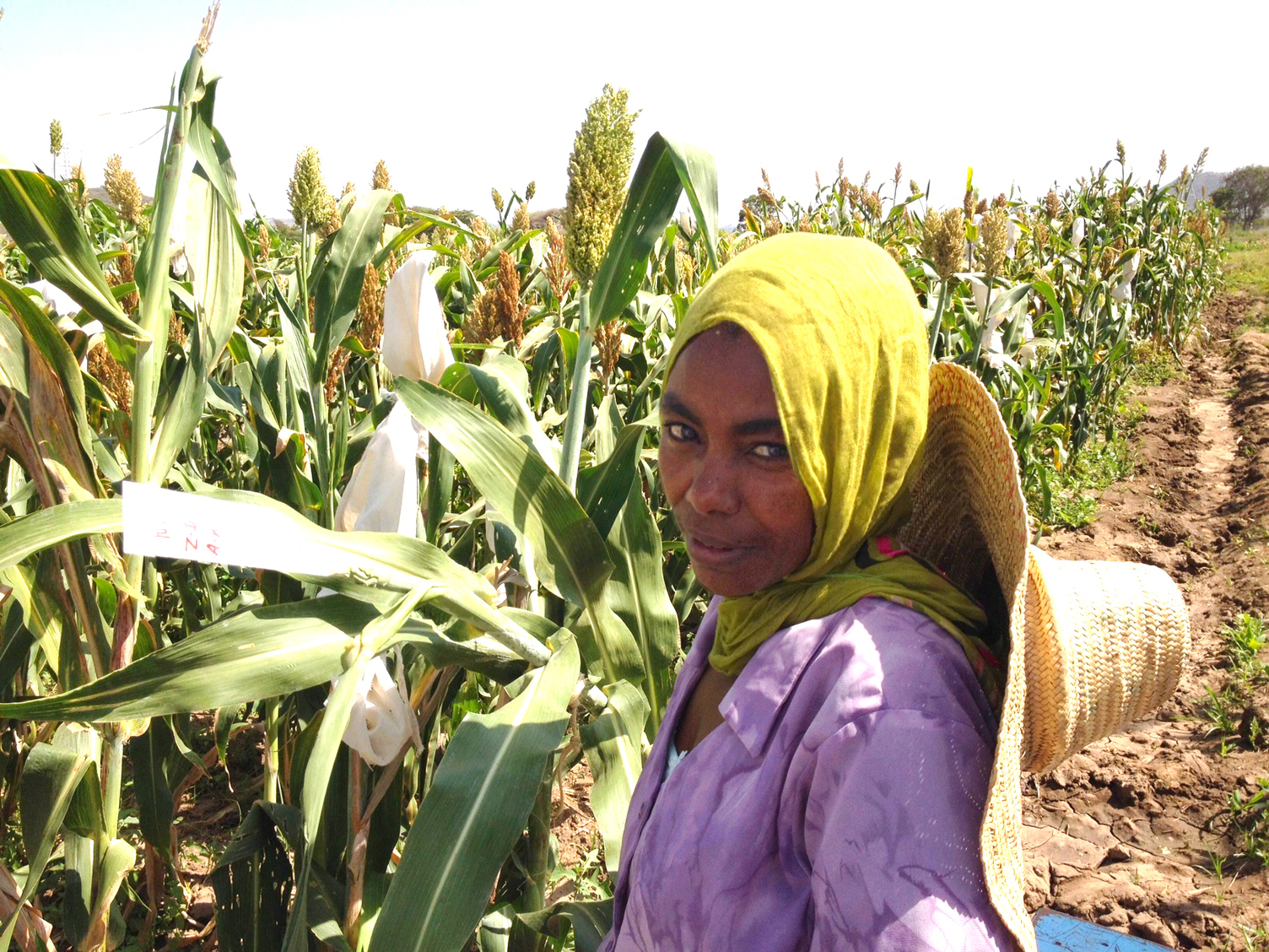 farmer in ethiopia 