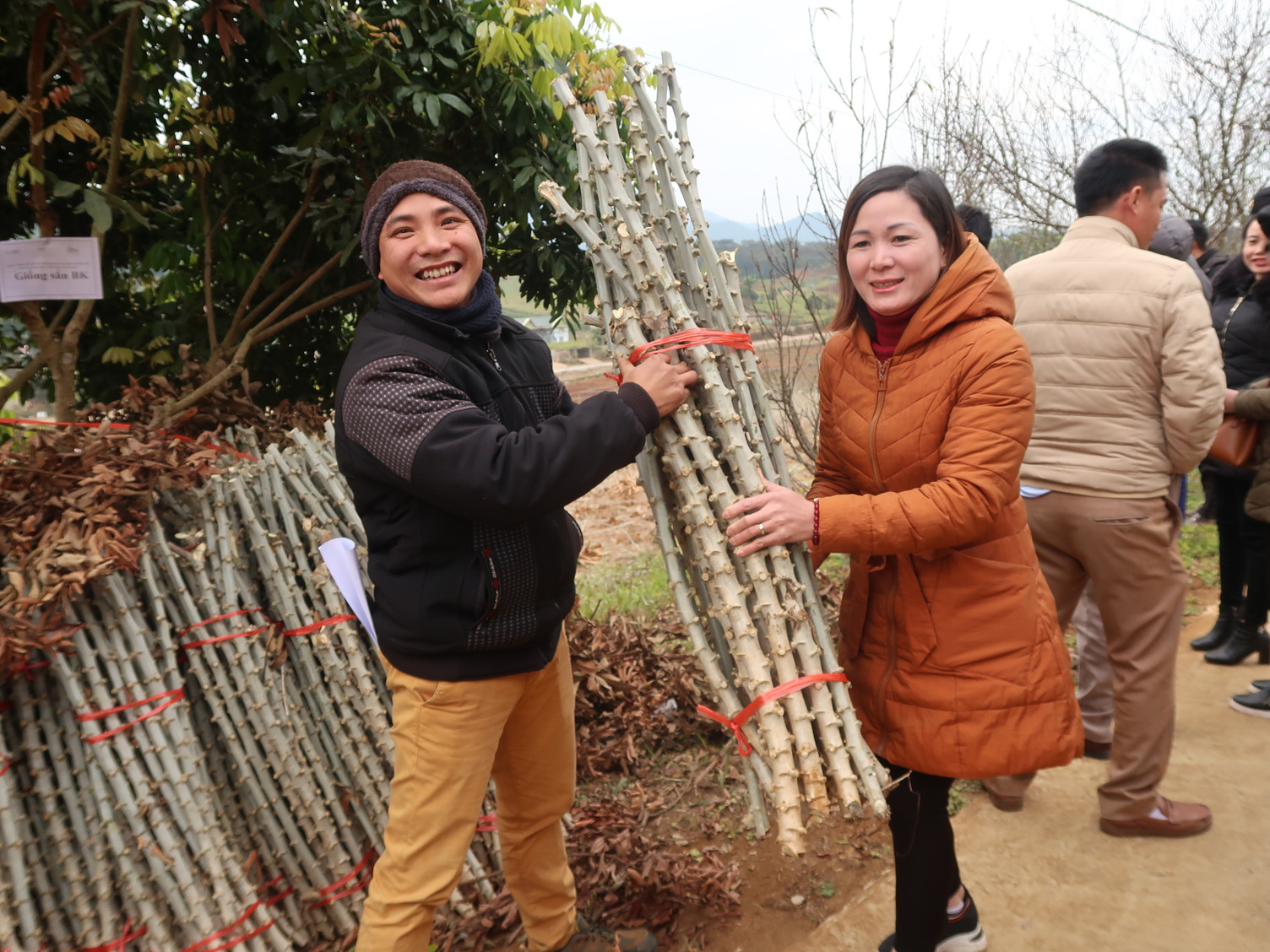 NOMAFSI gives cassava stems to farmers and participants in the workshop on 13/11/2020.