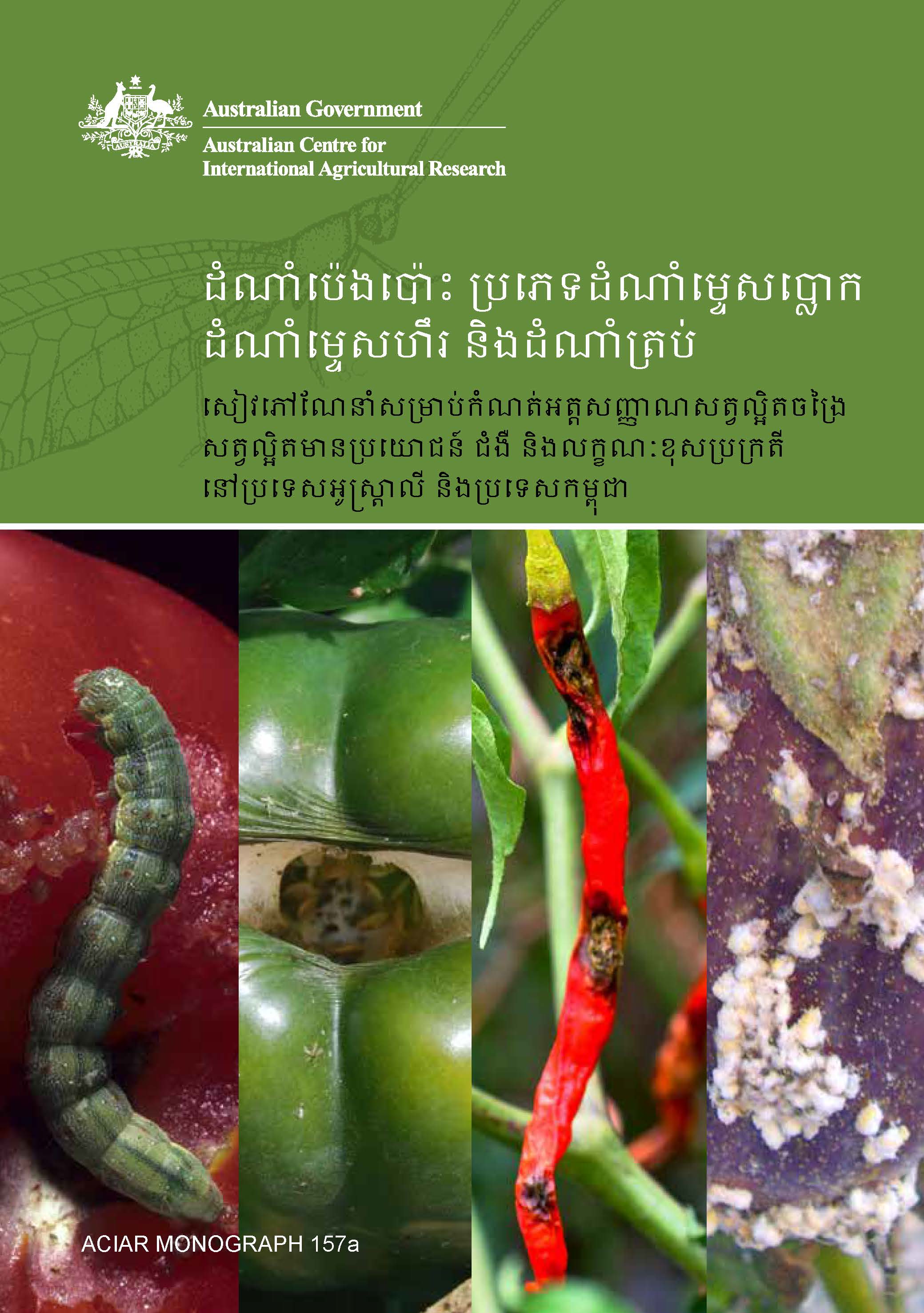 book cover showing enlarged pictures of a caterpillar, capsicum, and chili plant