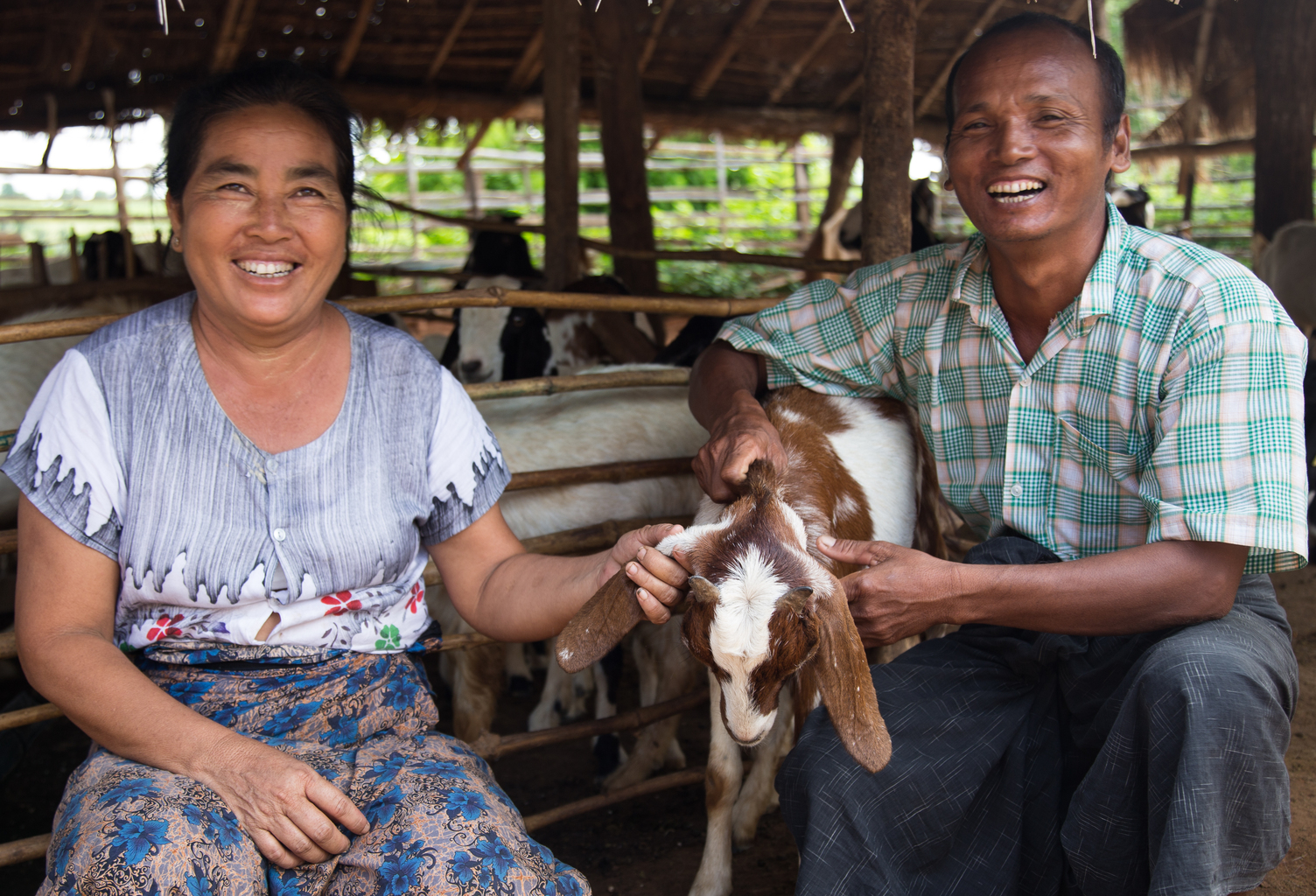Goat farmers in Myanmar 
