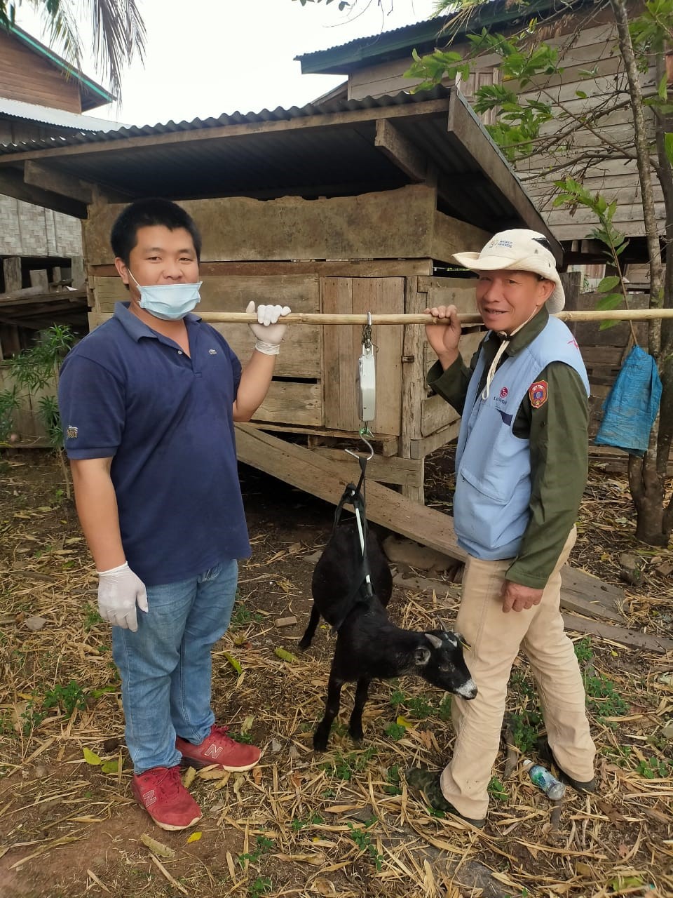 Mr Thaixiong Xaikhue and a farmer weighing a goat in Savannakhet Province, Laos. 