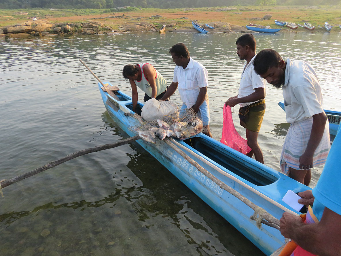 Men with a canoe and net filled with fish