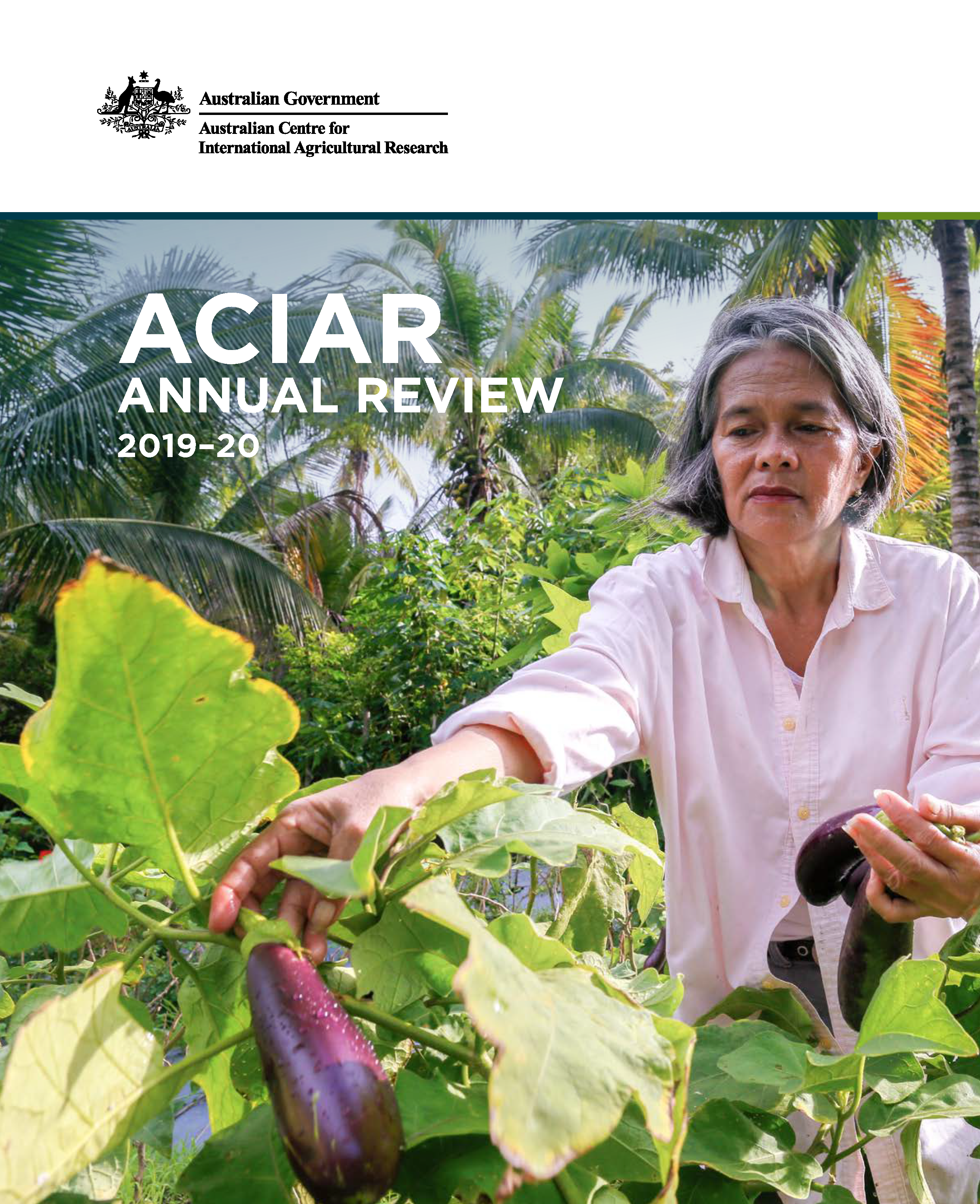 cover of the book showing an older woman with Asian features harvesting eggplants