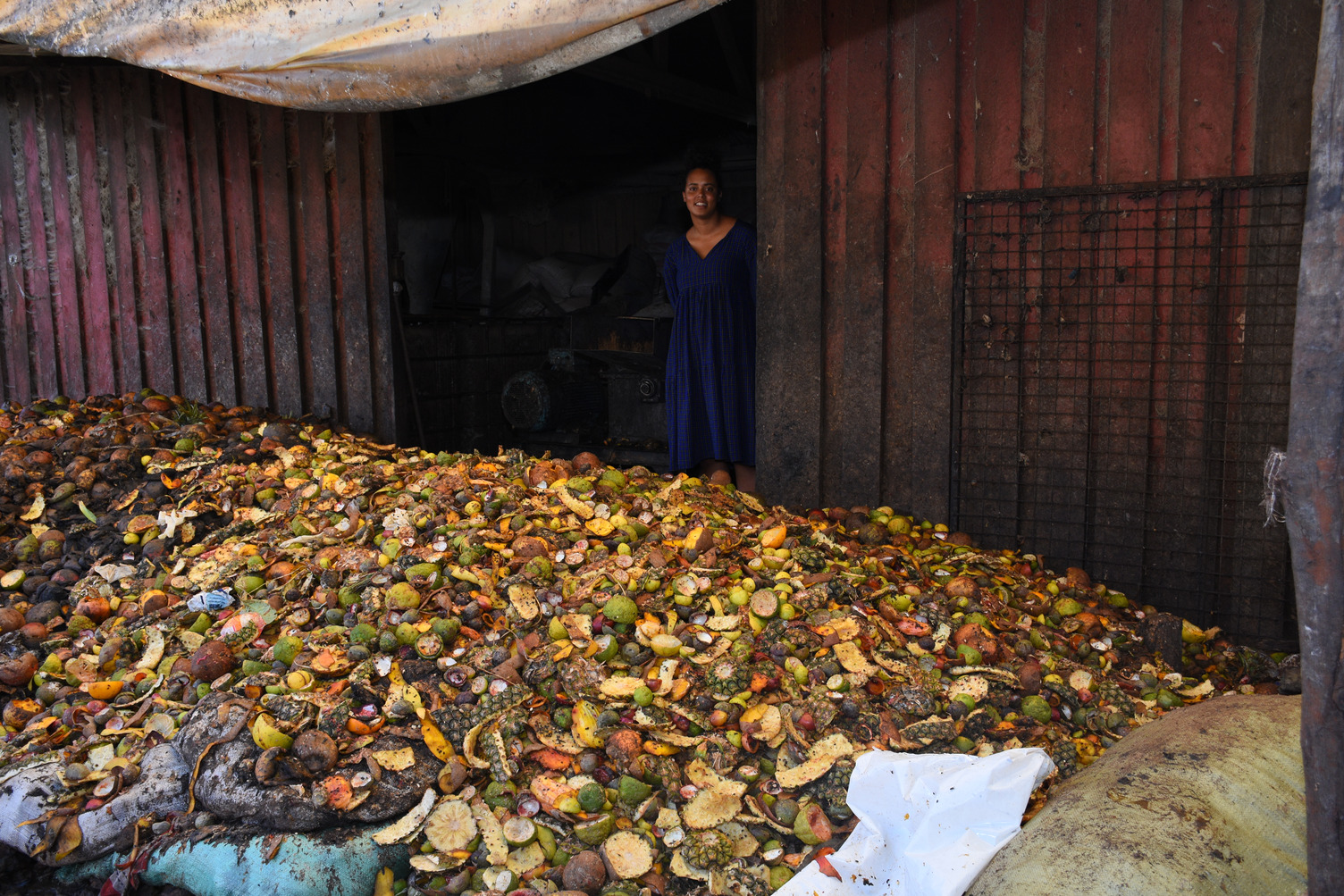 Talash Huijbers of Insectipro poses alongside her waste collection point. The waste fruits and vegetables act as substrate for the black soldier fly rearing.