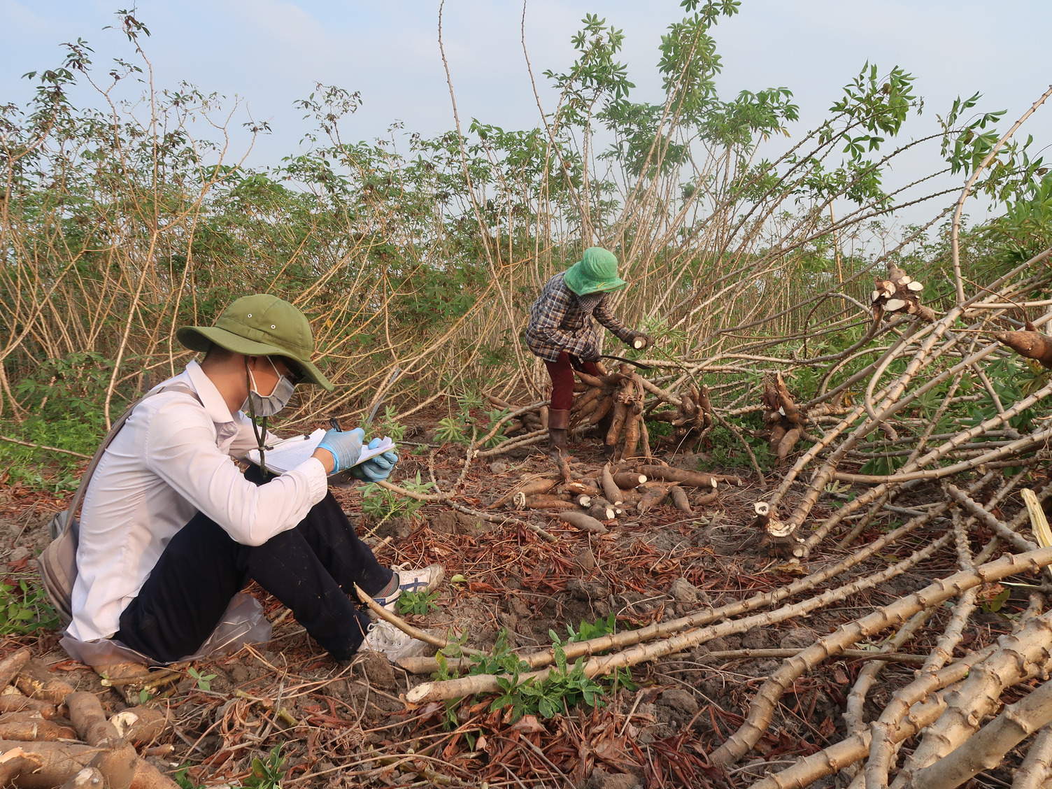 Researchers in the field 