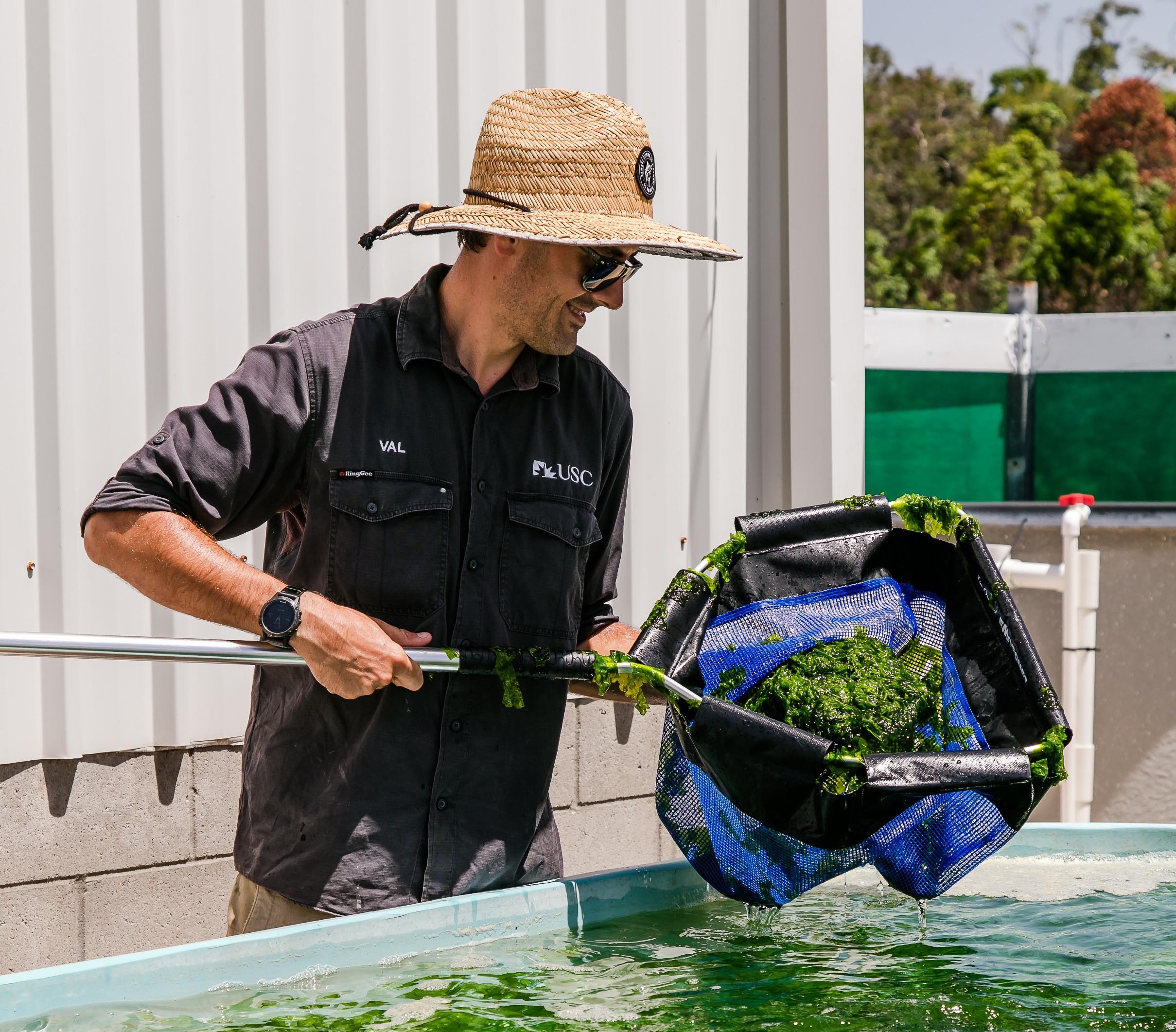 This research was led by PhD candidate Valentin Thépot who investigated the potential of seaweeds as functional ingredient in the diet of farmed fish.