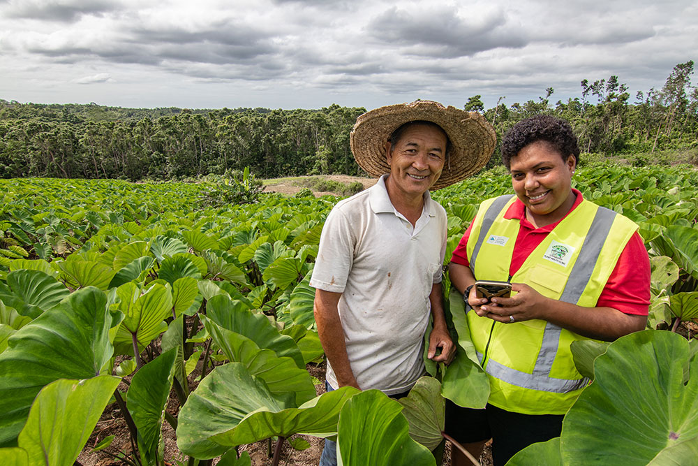 Two people standing in front of a crop of large green leaves