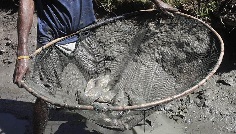 A man holds a net of fish over a muddy river bank