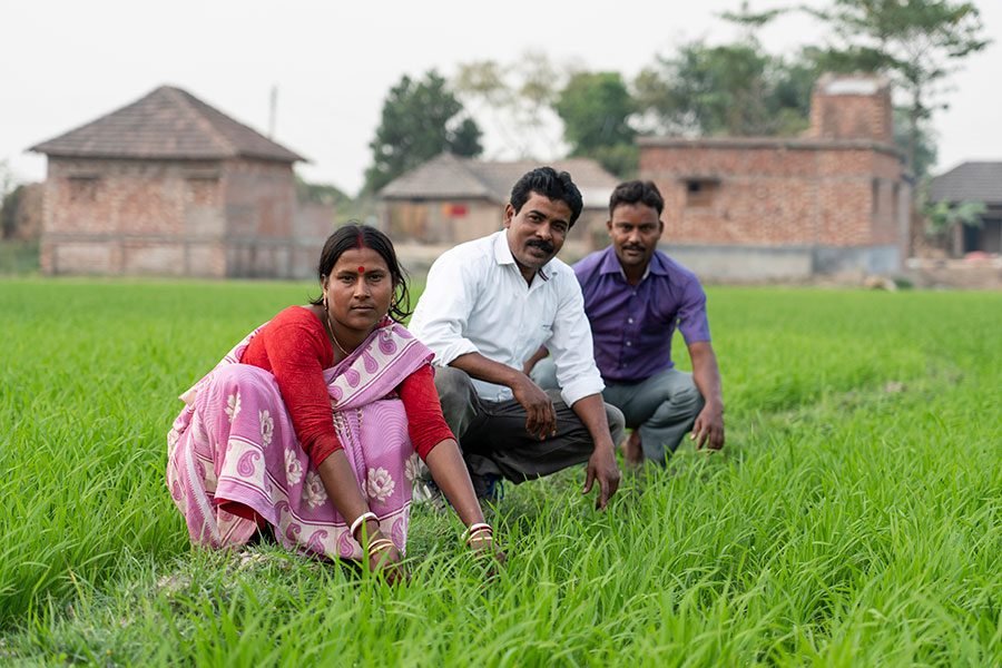People in a field of crops West Bengal