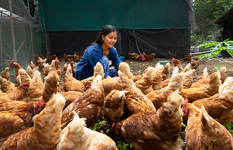 female farmer with chickens 