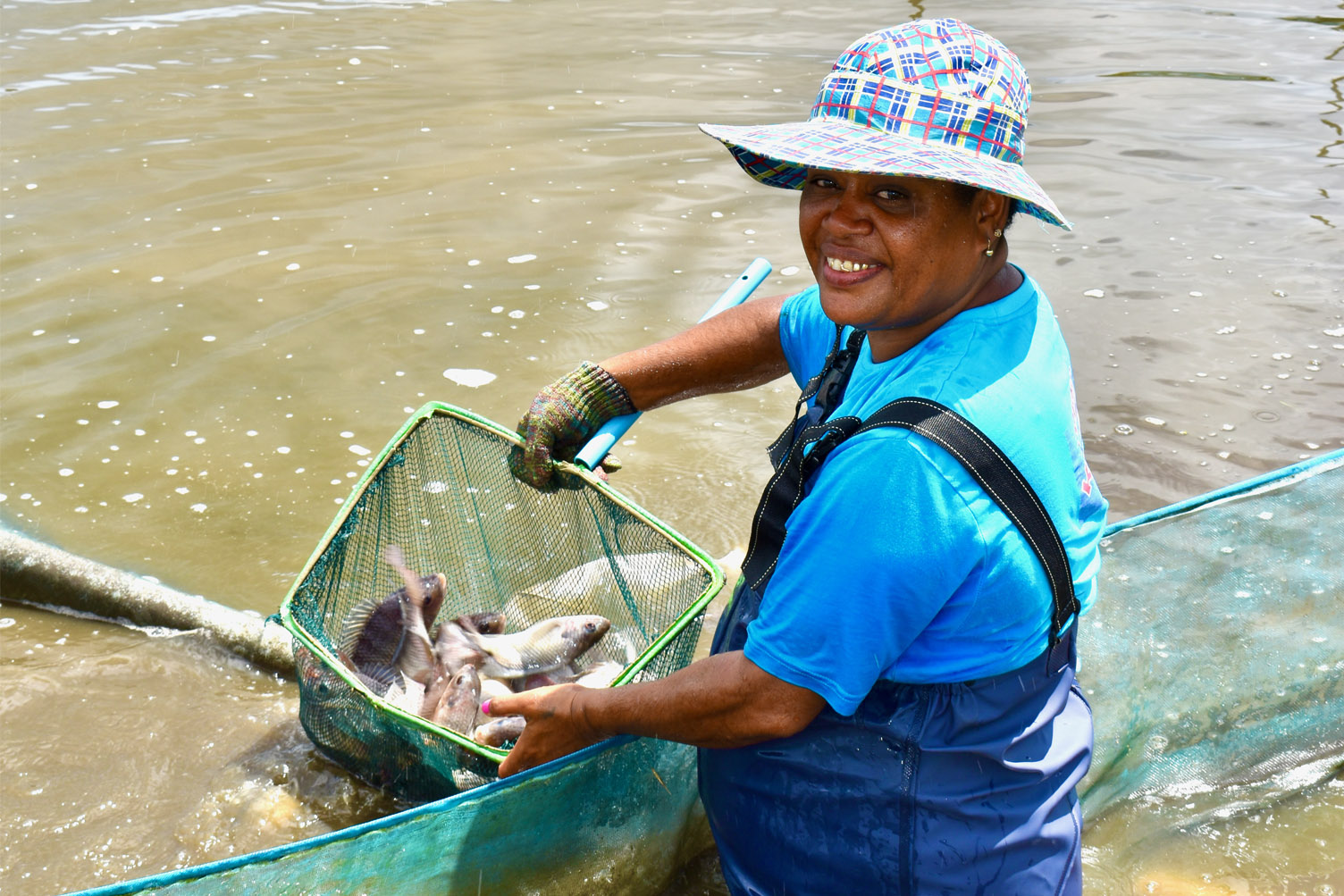 Ms Katarina Baleisuva, the first female Fijian tilapia farmer currently producing and supplying male-only cultured fingerlings (young fish) to semi-commercial and commercial farmers in the country.