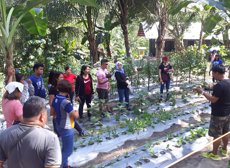 A group of people looking at a planting of small trees