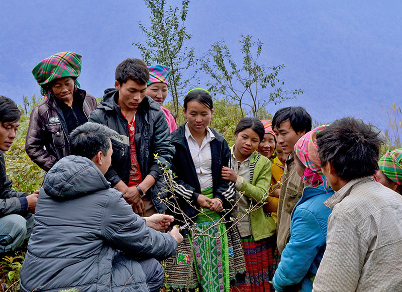 Group of people looking at a small tree