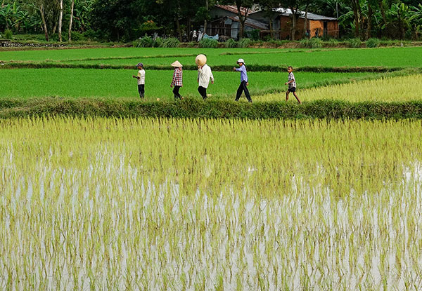Vietnam