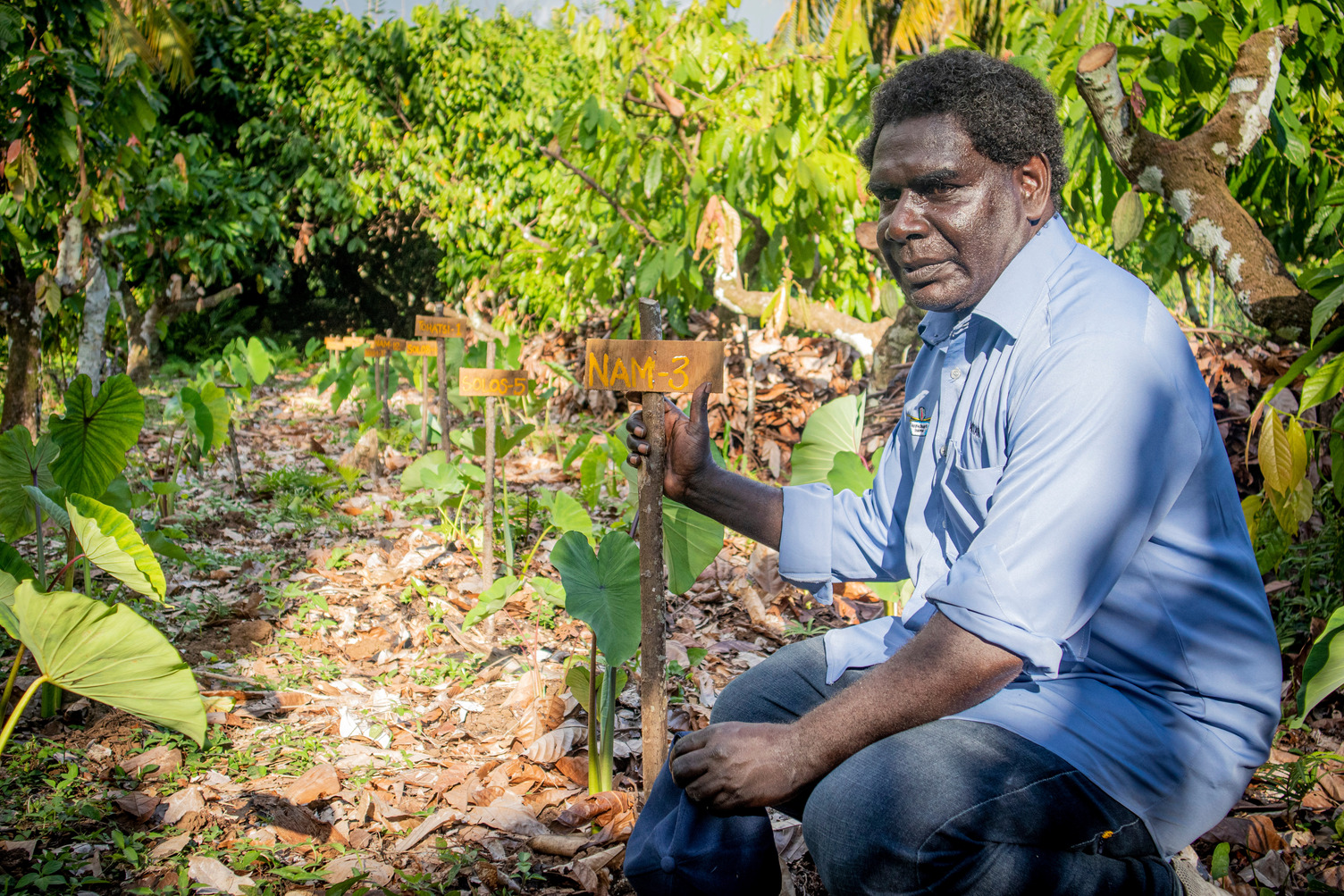 ACIAR Project Coordinator in Bougainville James Butubu at the Department of Primary Industries Research station at Kubu, just outside Buka town. Cocoa samples from the Kubu research station were sent to the Cocoa of Excellence 2021 competition, where they were recognised among the top 50 in the world.