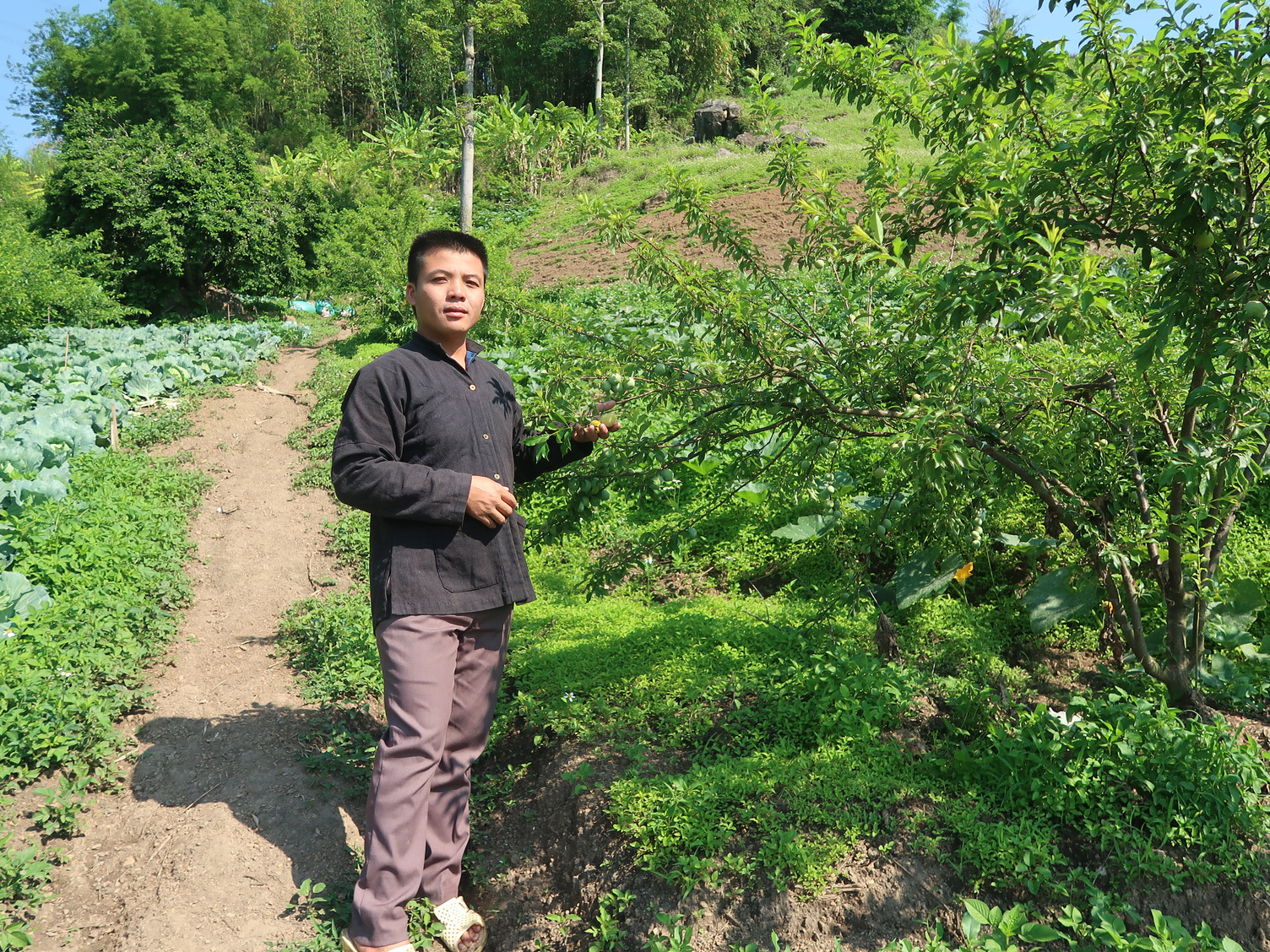 Leo Van Lech in his steeping land, where he plants tek tree, vegetables, and plum. Photo: ACIAR