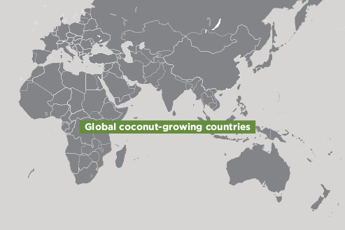 Map of Global Coconut Growing Countries