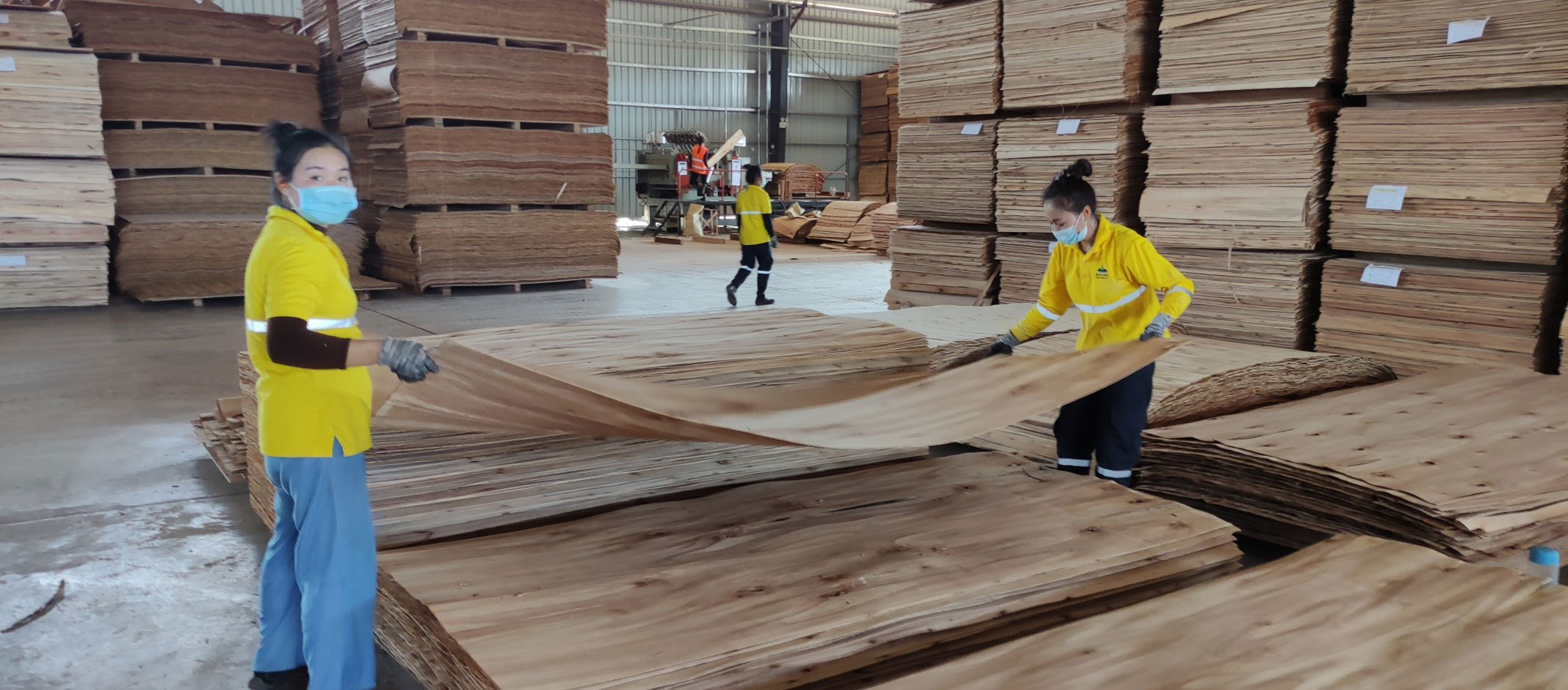 Two people holding a large sheet of timber in a timber warehouse