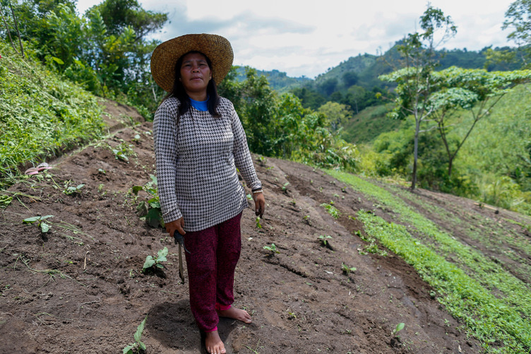 Jenelyn Ngato from remote Barangay Assumption in Koronadal City, South Cotabato, the first LIFE pilot site, has completely transformed her farm. Here, she shows her strip farming technique on steep land devoted to vegetables and other high value crops. Fruit and timber trees are being incorporated on the periphery of her vegetable plot.