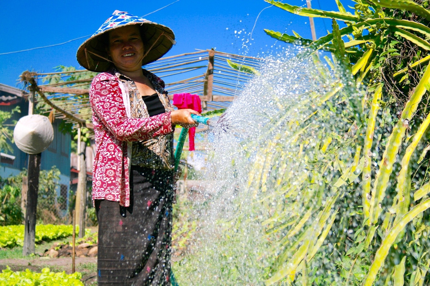 Mrs. Pheng waters her garden in Ekxang Village (Photo: Madeline Dahm)