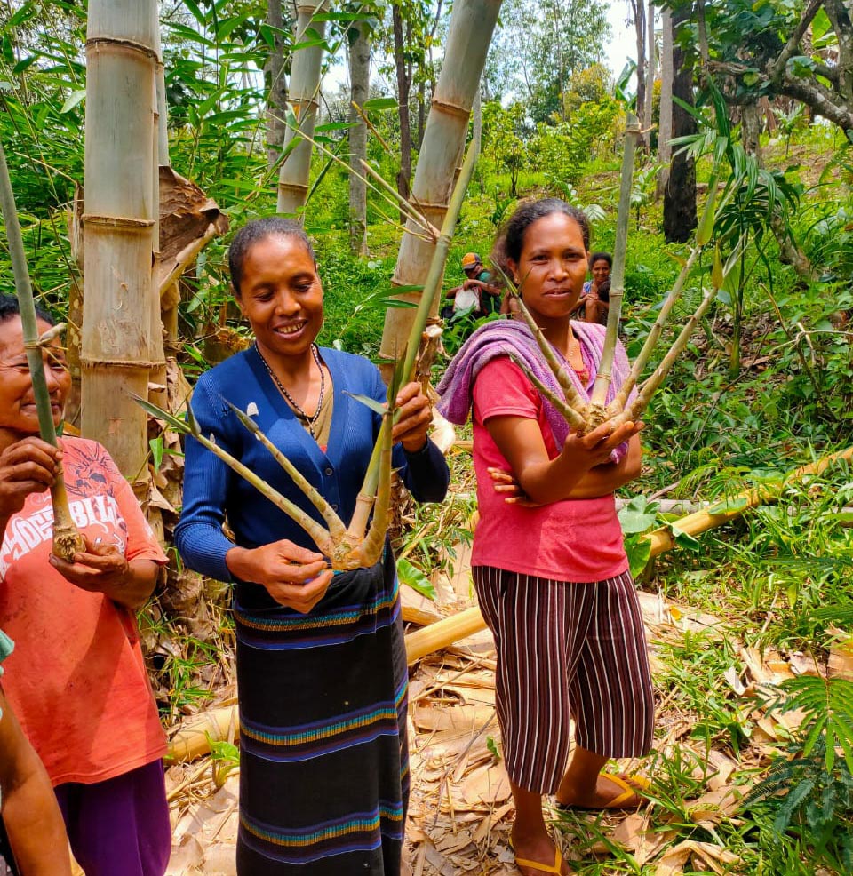 Bamboo farmers in Indonesia 