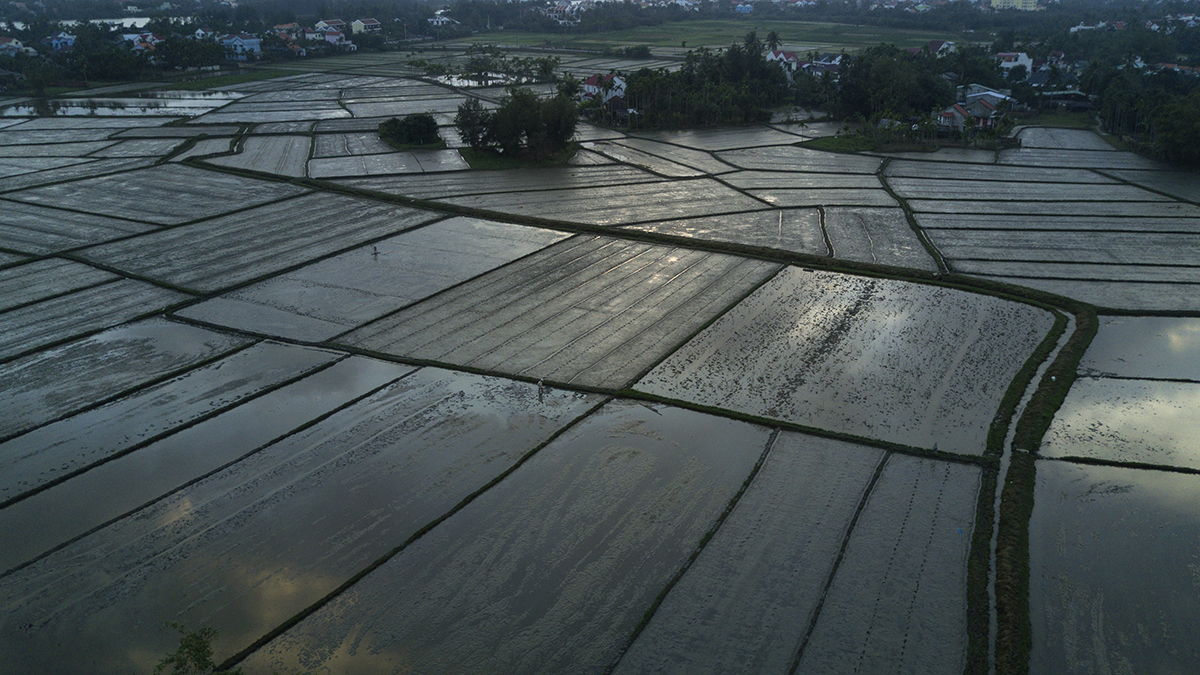 Aerial view of farms in Mekong Delta