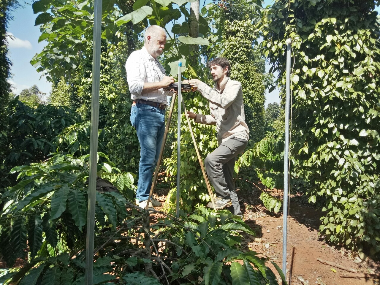Philippe Girard (left) and Clément Rigal (right), agronomists from CIRAD/ICRAF, established instruments to measure the amount of water required to grow coffee intercropped with pepper. Photo: Chau Long, WASI