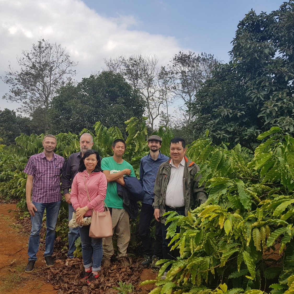 Researchers from ICRAF, CIRAD, WASI, and the private sector partner in an experimental coffee field of WASI to set up the irrigation system. Photo: WASI