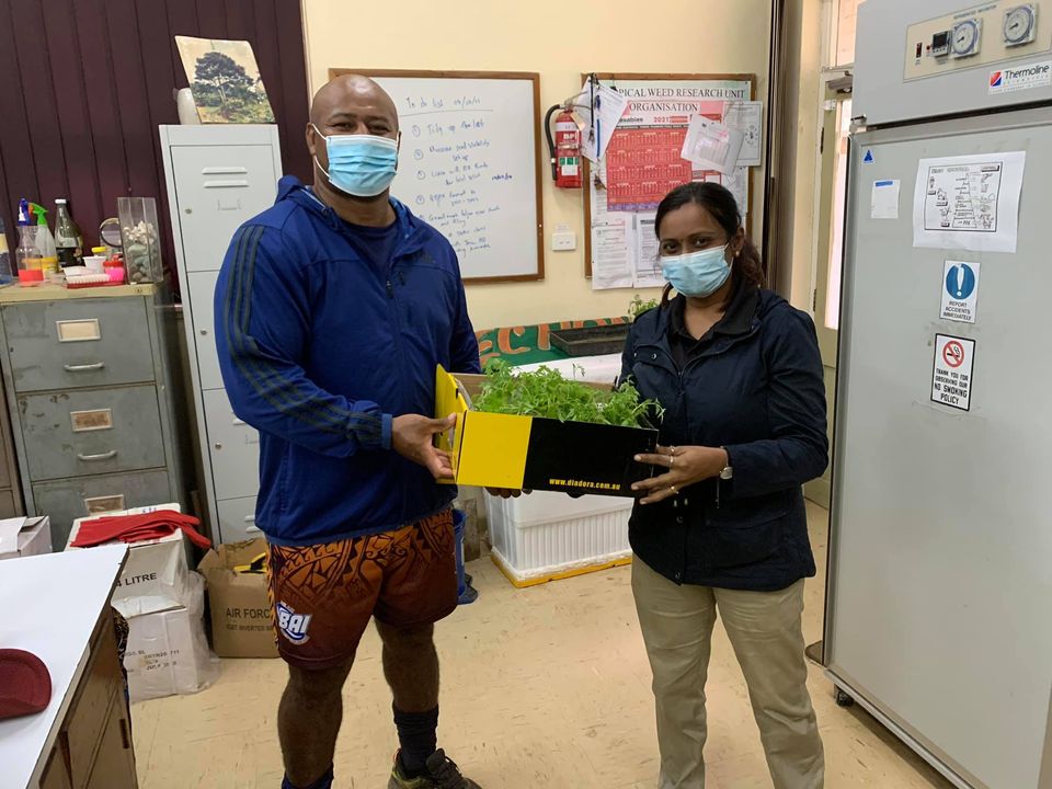 Seremai Bai and Mrs Deesh with prepare seedlings for delivery.  