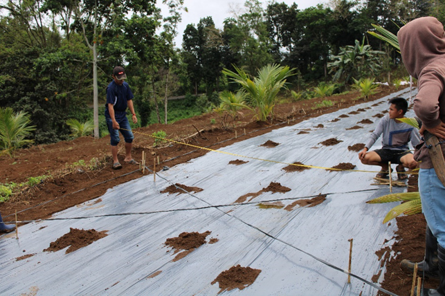 ARSF awardee and John Dillon Fellowship alumnus Dr Nelda Gonzaga from the University of Science and Technology of Southern Philippines teaching a student on proper data gathering procedure at the community gardening experimental site.