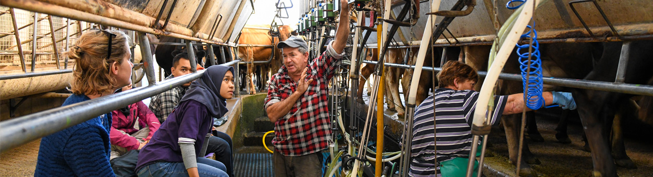 Dairy farming explaining milking equipment to researchers