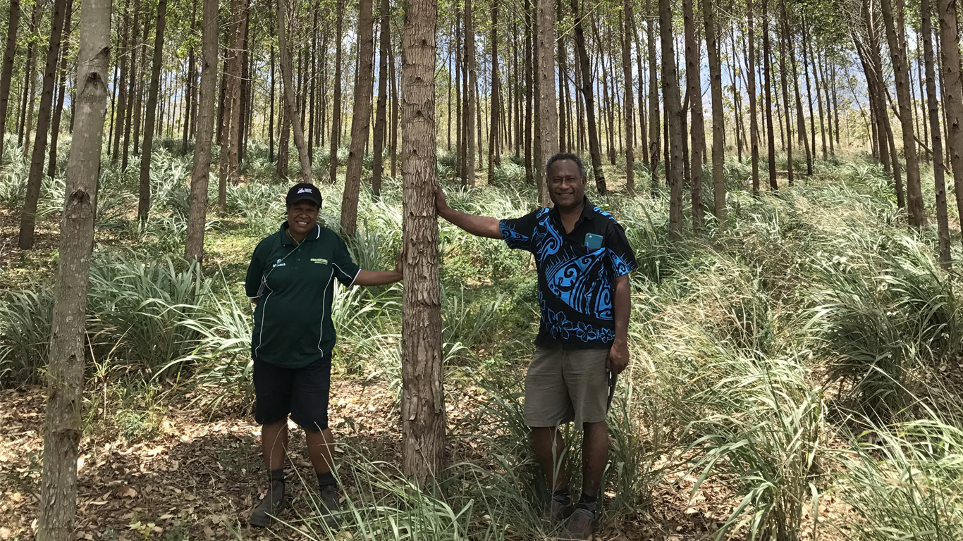 In Papua New Guinea, Gorethy Dipsen and Kulala Mulung both completed tertiary studies under the JAF scholarship program, learning valuable scientific skills that further assisted forestry projects in PNG.