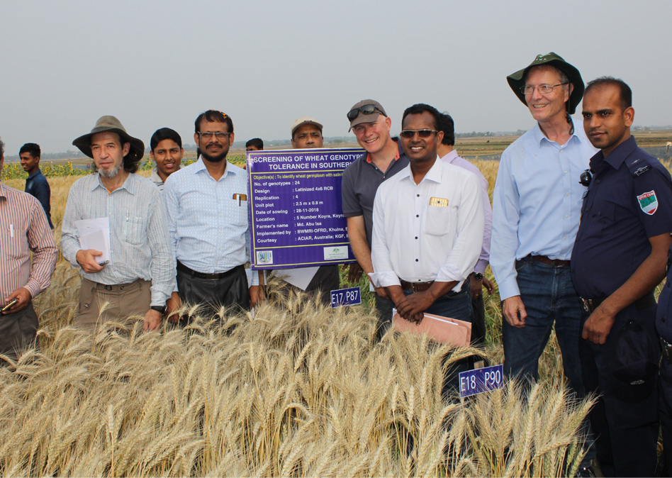 Australian and Bangladeshi scientists and project staff during a site visit in 2019.  (Front row left to right: Dr Eric Huttner, Dr Harunor Rashid (BARI), Dr Richard James, Dr Shahadat (BARI), Dr William Erskine). Image: M.G. Neogi, University of Western Australia