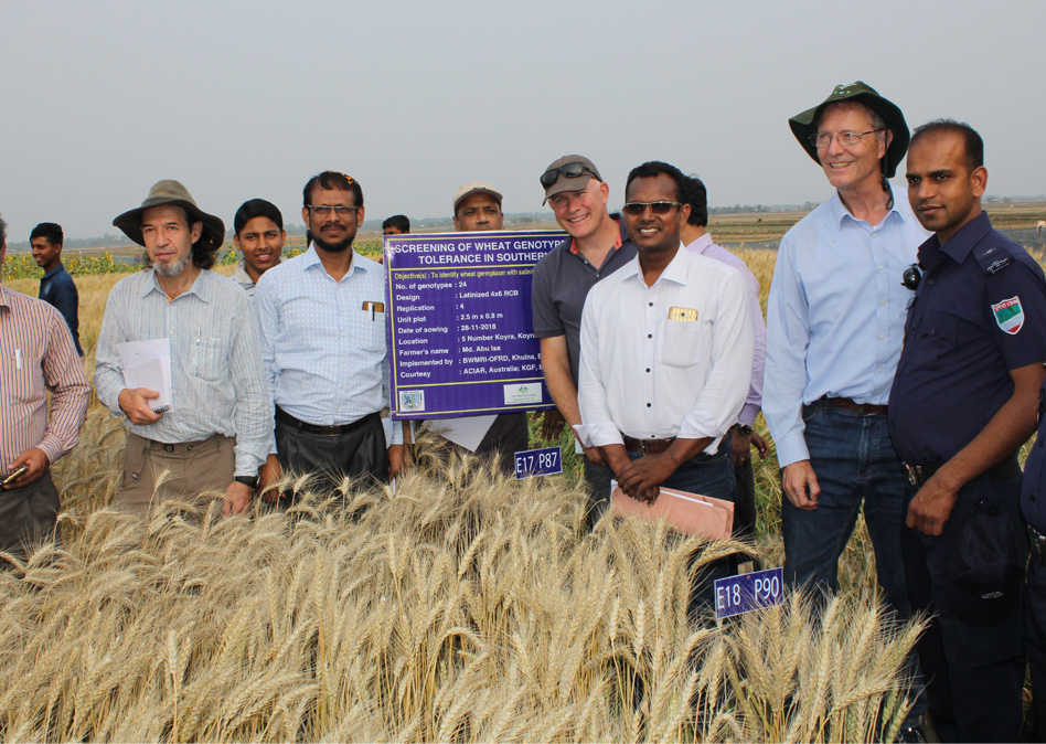 Australian and Bangladeshi scientists and project staff during a site visit in 2019.  (Front row left to right: Dr Eric Huttner, Dr Harunor Rashid (BARI), Dr Richard James, Dr Shahadat (BARI), Dr William Erskine). Image: M.G. Neogi, University of Western Australia