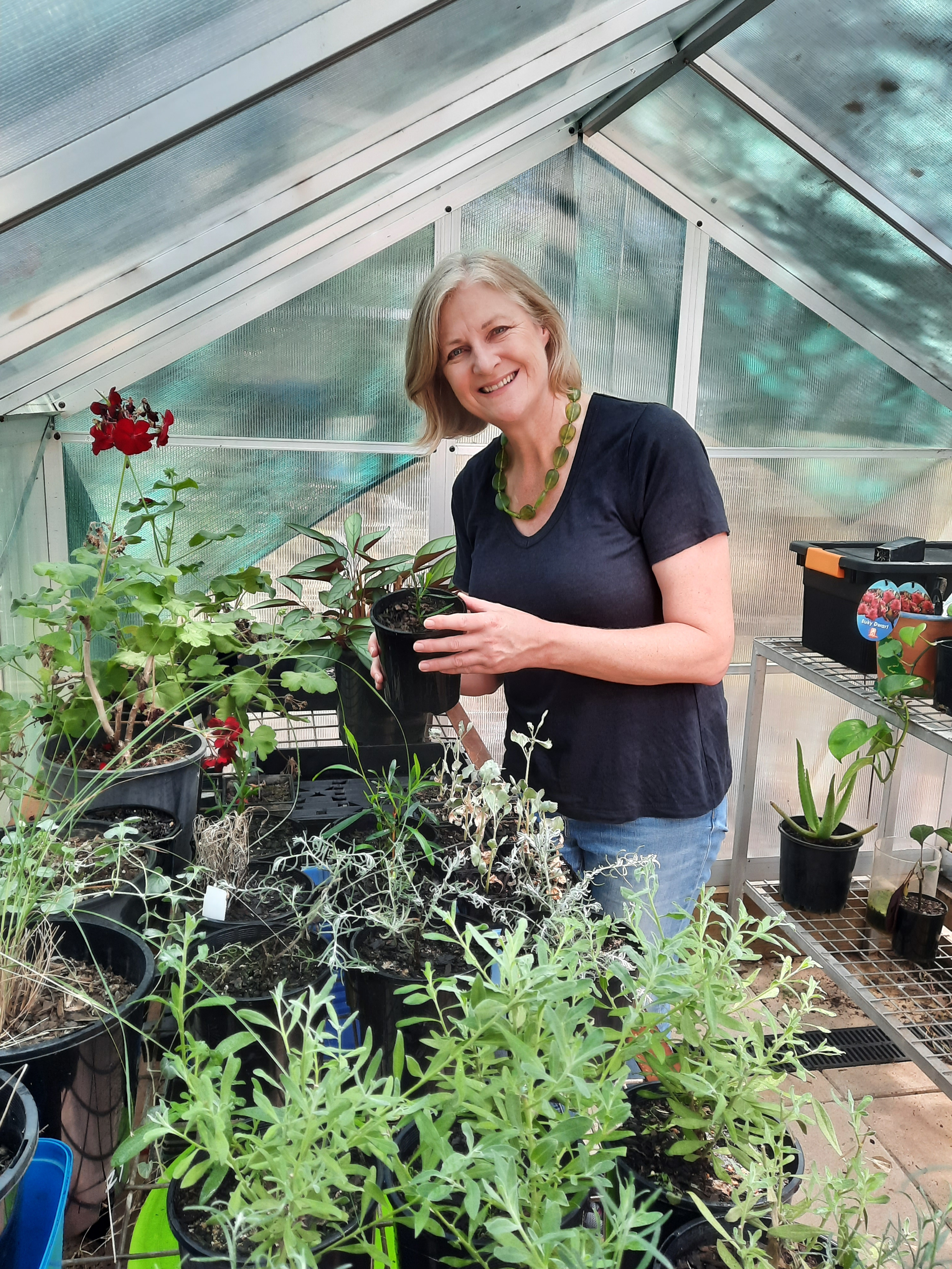 Women in greenhouse propagating plants