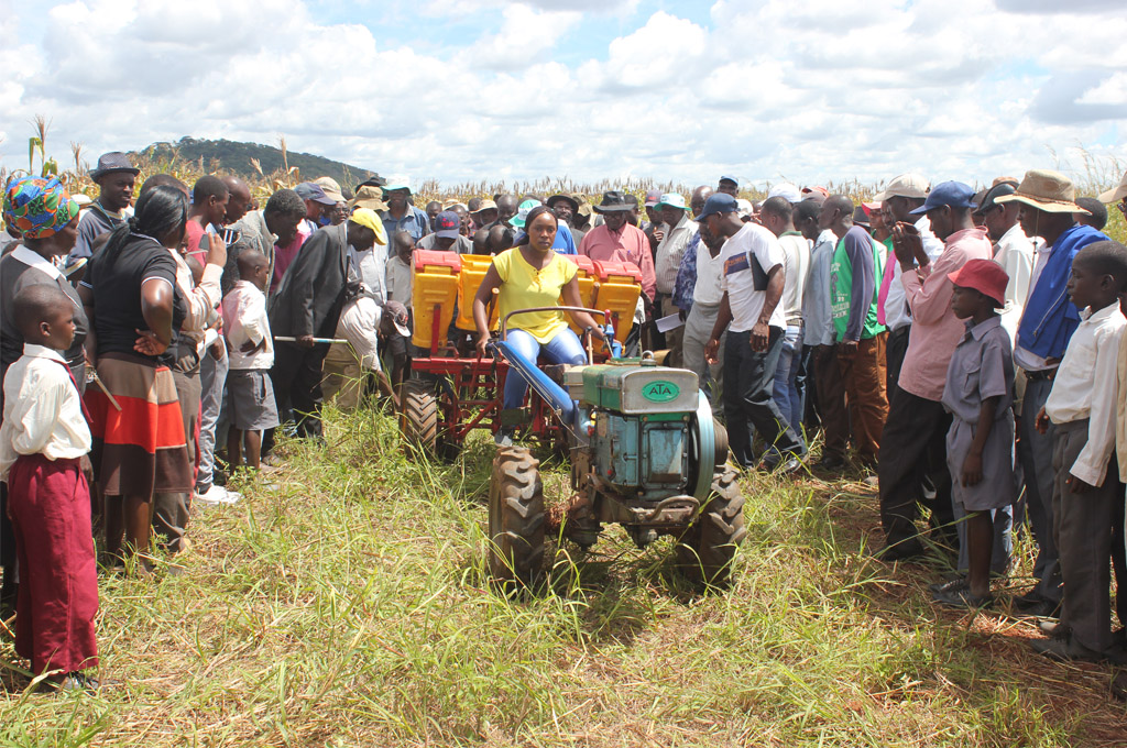 Field day in Makonde, Zimbabwe. Image: Frédéric Baudron