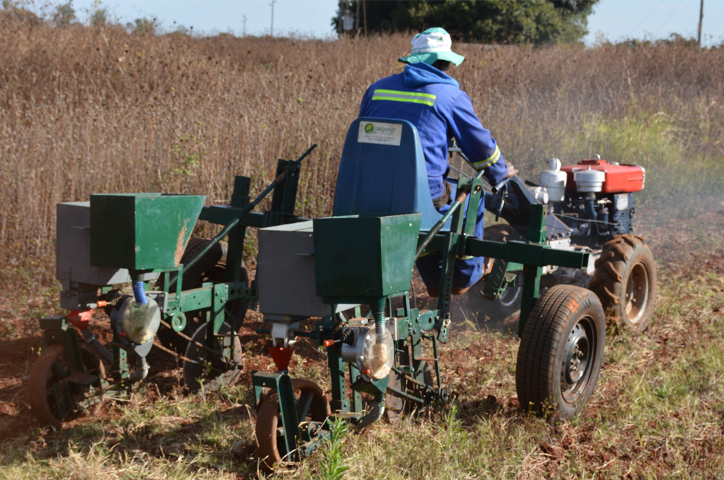 Testing of a prototype planter in the experimental farm of the University of Zimbabwe. Image: Frédéric Baudron