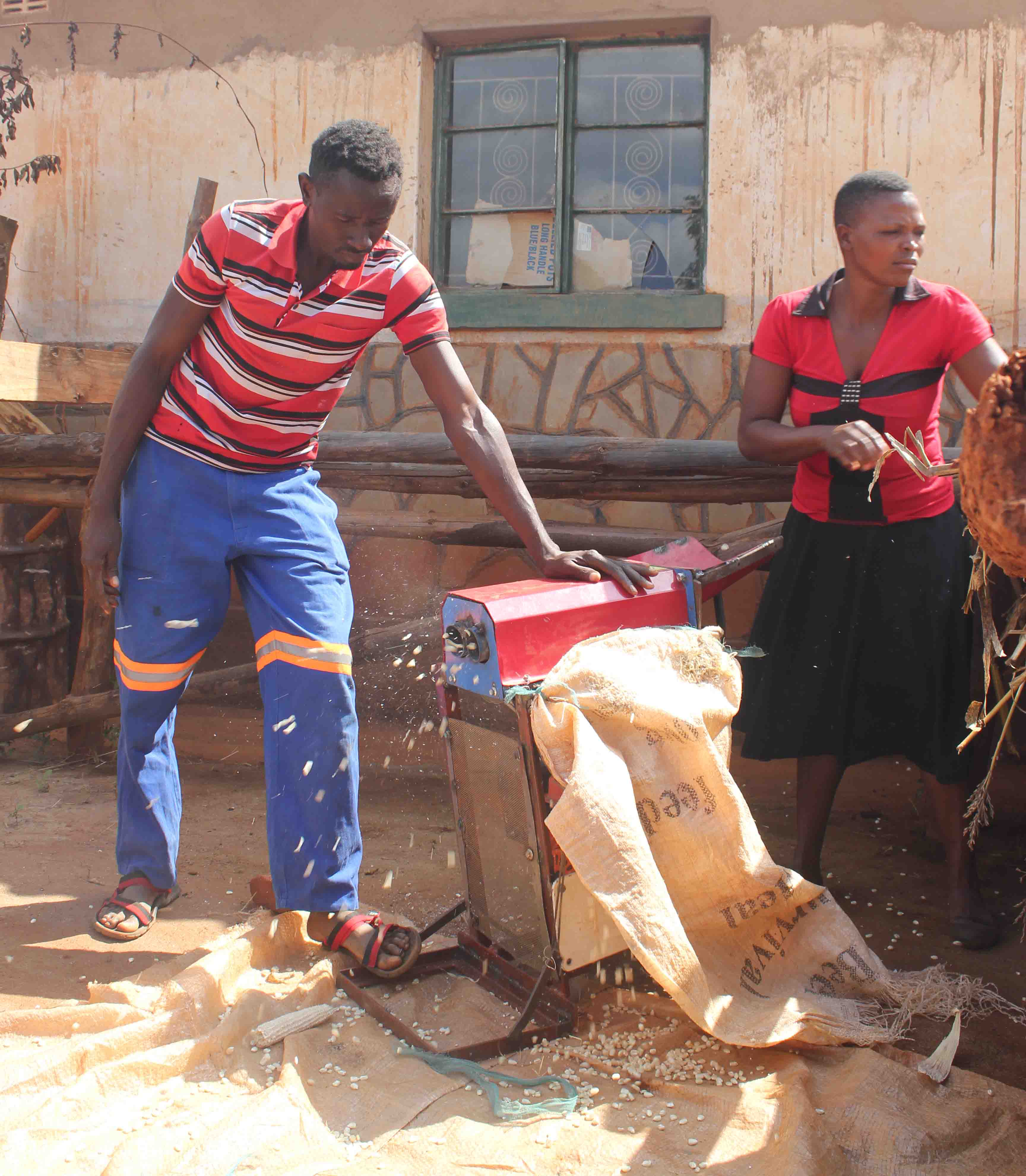 Demonstration of a small-scale maize sheller by service provider in Nyanga, Zimbabwe. Image: Frédéric Baudron